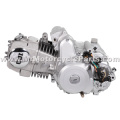 2890704 50cc Motorcycle Engine with 10" Crankcase